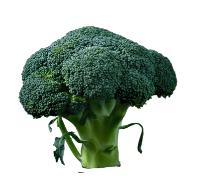 Ingredient
