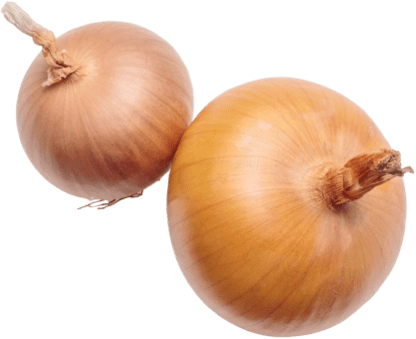 Onion